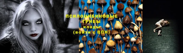 гидра Володарск