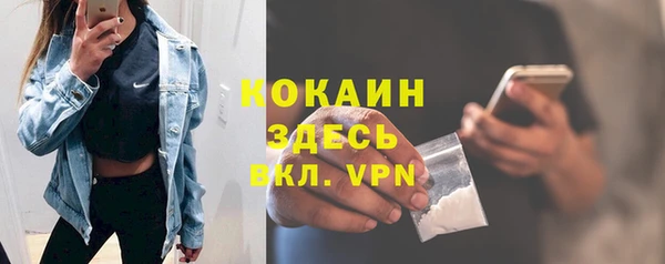 гидра Володарск