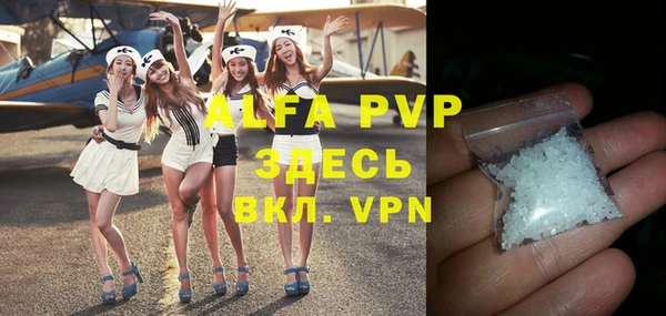 гидра Володарск