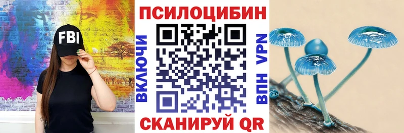 Псилоцибиновые грибы Psilocybe  Калач-на-Дону 